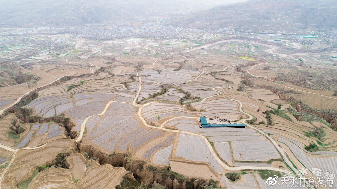 抖音双击播放：抖音热播视频引发全网关注热潮_全网下单业务